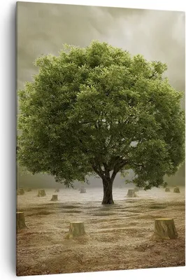 Produktbild von Bild auf Leinwand - Leinwandbild - Einteilig - Baum Feld Umwelt - 70x100cm - Wand Bild - Wanddeko - Wandbilder - Leinwanddruck - Wanddekoration - Leinwand bilder - Wandbild - PA70x100-2727