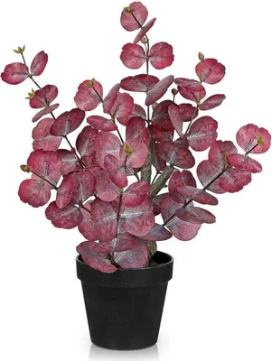 Zdjęcie produktu dla Sztuczna roślina eukaliptusowa, czerwona, 46 cm, czarna