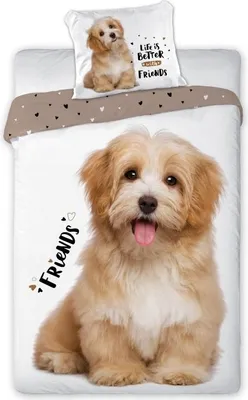 Produktbild von FARO n Best Friends Puppy Baumwolle, 140/200, 70/90 cm