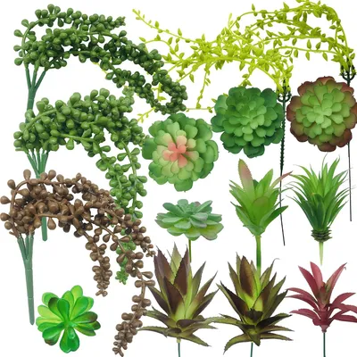 Image de Plantes artificielles succulentes - 15 pièces - Plantes décoratives succulentes - Sans entretien - Pour intérieur