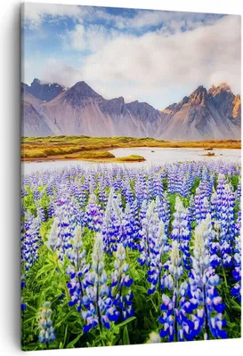 Produktbild von Bild auf Leinwand - Leinwandbild - Einteilig - Berge Wiese Blumen - 50x70cm - Wand Bild - Wanddeko - Wandbilder - Leinwanddruck - Wanddekoration - Leinwand bilder - Wandbild - PA50x70-4114