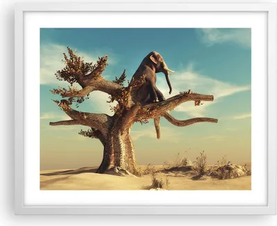 Produktbild von Gerahmtes Poster - Weißer Rahmen - Sitzen Elefant Baum - 50x40 cm - Wand Bild - Wanddeko - Wandbilder - Kunstposter - Wandposter - Bilderrahmen - Bilder - Kunstdruck - Wandbild - P2WAA50x40-4345