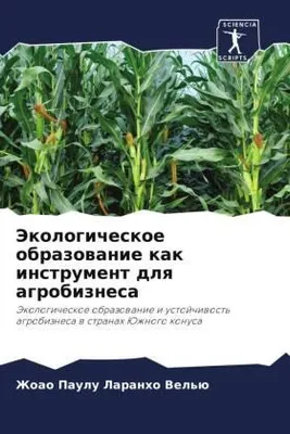Produktbild von Jekologicheskoe obrazowanie kak instrument dlq agrobiznesa
