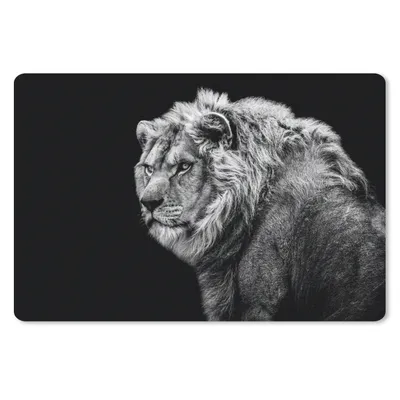 Produktbild von MuchoWow® Schreibtischunterlage Löwe - Porträt - Wildtiere - Schwarz - Weiß 60x40 cm - XXL Mauspad - Großes Mauspad
