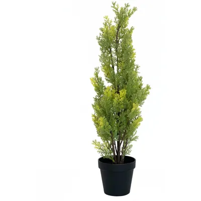 Image de EUROPALMS Cyprès, Leyland, plante artificielle, 60cm