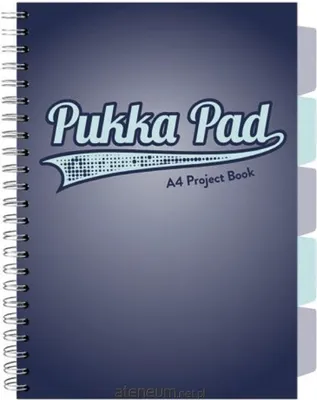 Zdjęcie produktu dla Kołozeszyt Pukka Pad A4 100 kartek w kratkę