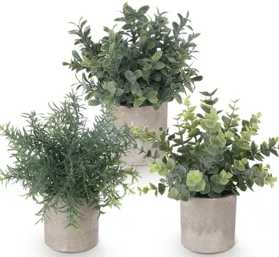 Immagine prodotto di Omgoods - Set di 3 piante artificiali di eucalipto per la decorazione della casa