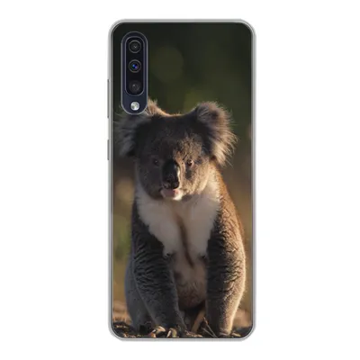 Produktbild von MuchoWow® Handyhülle Schutzhülle Hülle für Samsung Galaxy A30s Koala - Sonne - Tier - Kinder - Jungen - Mädchen Silikon Softcase Handy Hülle - Karteninhaber