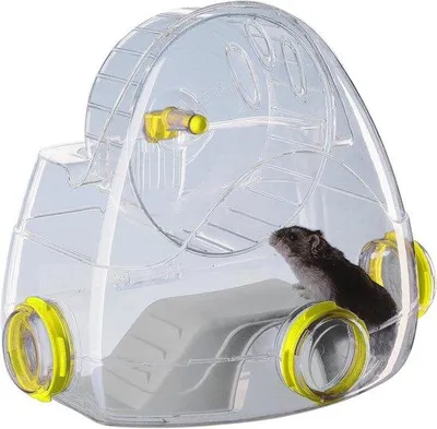 Image de Roue d'exercice pour animaux et jouets