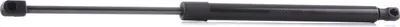 Produktbild von RIDEX 219G0402 Gasfeder Heckklappendämpfer für AUDI Q5 (8RB)