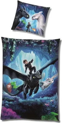 Produktbild von Dragons Drachenzähmen Winter Bettwäsche Set für Jungen · Fleece Kinderbettwäsche Set 135x200 80x80 cm in Dunkelblau mit Reißverschluss Drache Ohnezahn