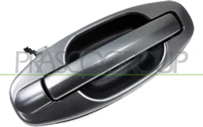 Produktbild von PRASCO HN8128101 Türgriff Hinten Rechts für HYUNDAI SANTA FÉ I (SM) Schwarz