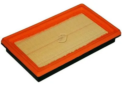 Image de EBG Filtre à air moteur Nissan 16546ED000