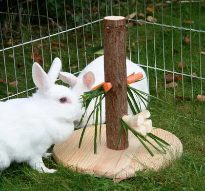 Produktbild von Kerbl Futterbaum