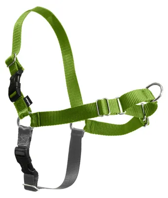 Productafbeelding van PetSafe Easy Walk hondentuig