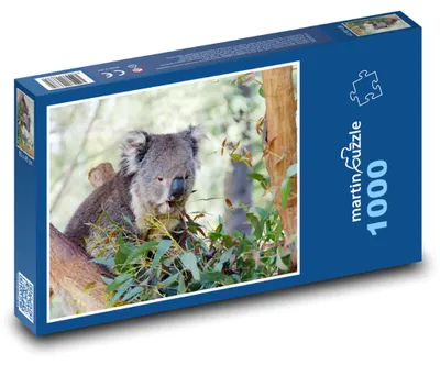 Obrázok produktu pre Puzzle 1000 Koala na strome - vačkovec, zviera - martinpuzzle