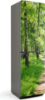 Obrázok produktu pre Lesná cesta v prírode - Magnetický kryt na chladničku - Magnetická fólia na dvere chladničky - 60x205 cm - Samolepiaca magnetická tabuľa - Magnetická fólia na dvere chladničky