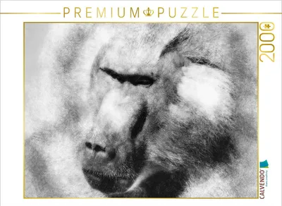 Produktbild von CALVENDO Puzzle Der Pavian 2000 Teile Puzzle quer | 2000 Teile Lege-Größe 90x67cm Foto-Puzzle für glückliche Stunden