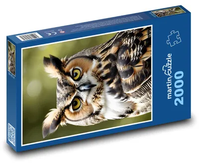 Obrázek produktu pro martinpuzzle - Puzzle 2000 - Sova - pták, zvíře