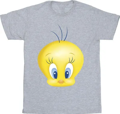 Produktbild von Looney Tunes - T-Shirt für Herren BI35750 (XXL) (Grau)