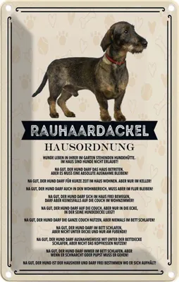 Produktbild von vianmo Blechschild 30x20 cm Tiere Rauhaardackel Hausordnung Hund