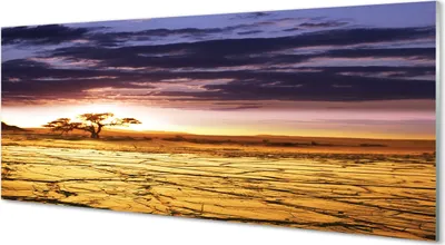 Produktbild von Glasbilder 125x50 Wandkunst Wolken Baum Himmel