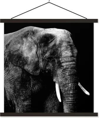 Produktbild von MuchoWow® Textilposter Elefant - Zähne - Schwarz - Weiß 40x40 cm mit schwarzem Rahmen - Fotos
