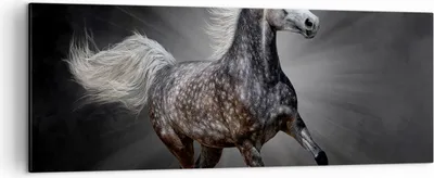 Produktbild von Bild auf Leinwand - Leinwandbild - Pferd Tier Natur - 140x50cm - Wand Bild - Wanddeko - Wandbilder - Leinwanddruck - Bilder - Kunstdruck - Wanddekoration - Leinwand bilder - Wandkunst - AB140x50-3593