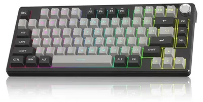 Produktbild von 75% Gaming Tastatur RGB kabelgebunden, 79 Tasten Membran Keyboard mit Lautstärke-Drehregler, Anti-Ghosting & FN-Funktion schwarz-grau
