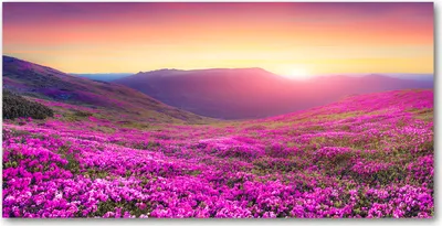 Produktbild von Tulup Glas-Bild -140x70- Wandkunst Dekorative Wand für Küche & Wohnzimmer - Landschaften - Rosa Hügel - Rosa