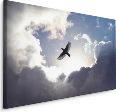 Produktbild von Fabelhafte Canvas LEINWAND BILDER 90x60 cm XXL Kunstdruck Natur Vogel Himmel Sonne