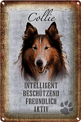 Produktbild von Blechschild Spruch 18x12cm Collie Hund freundlich