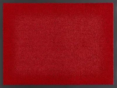 Produktbild von Fußmatte Elektra, rot, 60 x 90 cm