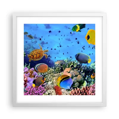 Produktbild von Gerahmtes Poster - Weißer Rahmen - Korallenriff - 40x40 cm - Wand Bild - Wanddeko - Wandbilder - Kunstposter - Wandposter - Bilderrahmen - Bilder - Kunstdruck - Wandbild - P2WAC40x40-3569