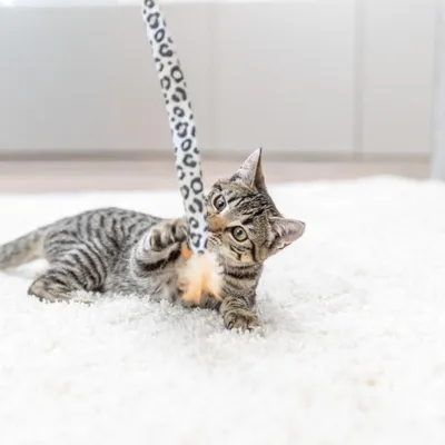 Obrázek produktu pro Trixie Hračka pro kočky v leopardím designu