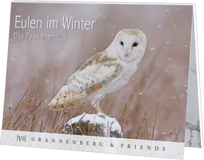 Produktbild von Postkartenbuch Eulen im Winter Postkartenbücher Ansichtskarte Postkarte Tier Eule