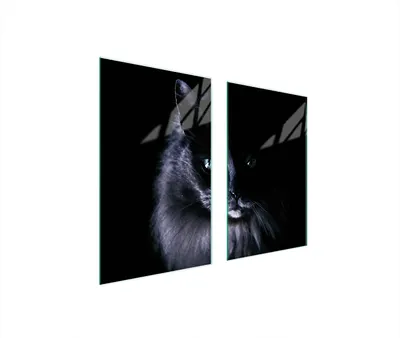 Image de Plaques de recouvrement pour cuisinière 2 pièces 75x52 Couverture pour champ vitrocéramique Verre Planche à découper Chat Noir