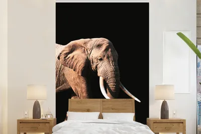 Produktbild von MuchoWow® Fototapete für Wohnzimmer oder Schlafzimmer Wandtapete Vinyl Motivtapete Elefant - Schwarz - Grau - 160x240 cm - Vinyltapete