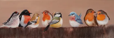 Produktbild von ArtUniverse Leinwandbild Bunte Vogelschar 40 x 120 cm
