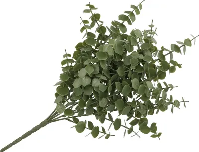 Produktbild von Kunstliche Blumen Eukalyptuszweig - 47 cm - grun - Bundel/Strauschen - Kunstliche Seidenblumen