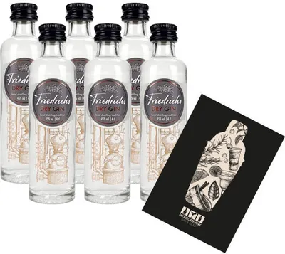 Produktbild von Friedrichs Dry Gin Miniatur 6x 40ml (45% vol) Friedrichs Gin Mini- [Enthält Sulfite]