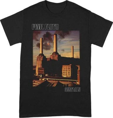 Obrázek produktu pro Pink Floyd - Tričko pro muže/dámy Uni BI171 (M) (Černá)