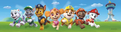 Immagine prodotto di Carta da parati autoadesiva Sanders & Sanders PAW Patrol blu e verde - 600027 - 14 x 500 cm