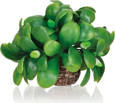 Obrázek produktu pro biOrb mistletoe ball