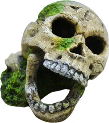 Produktbild von Aquarium Dekoration Totenschädel mit Moos Miniatur Dekofigur Versteck Amtra