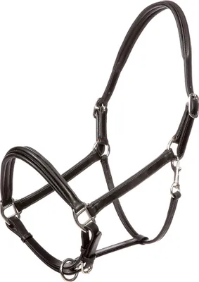 Produktbild von Kavalkade Lederhalfter Charming