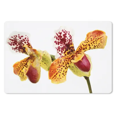Produktbild von MuchoWow® Schreibtischunterlage Orange Orchidee 60x40 cm - XXL Mauspad - Großes Mauspad