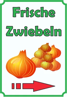 Produktbild von Verkaufsschild Schild Zwiebeln Hochkant mit Pfeil rechts A6 (105x148mm)
