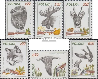 Produktbild von Briefmarken Polen 1981 Mi 2746-2751 (kompl.Ausg.) postfrisch Jagdwesen
