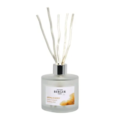 Immagine prodotto di Maison Berger Bouquet Aroma Energy Zestes Toniques 180 ml